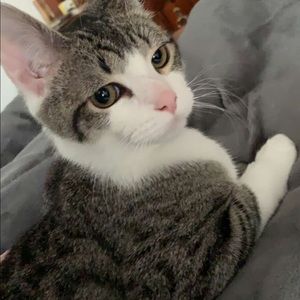 Meet your Posher, Steffeny